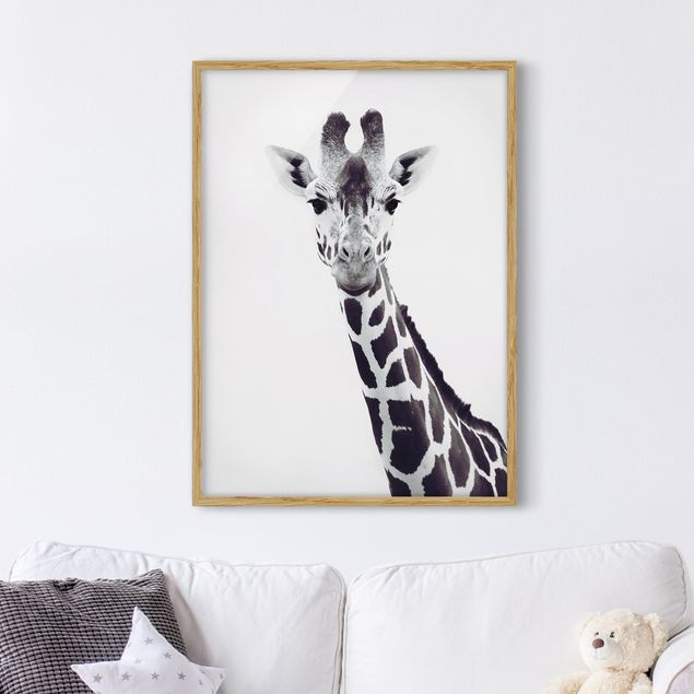 Wandbilder Tiere Giraffen Portrait in Schwarz-weiß