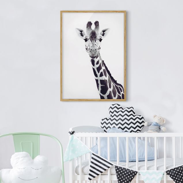 Bilder für die Wand Giraffen Portrait in Schwarz-weiß