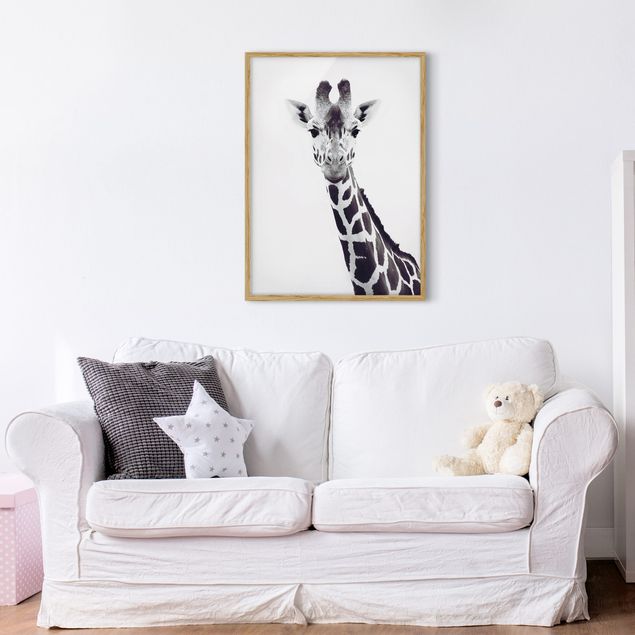 Wandbilder mit Rahmen Giraffen Portrait in Schwarz-weiß