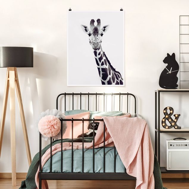 Schwarz-Weiß Poster Giraffen Portrait in Schwarz-weiß