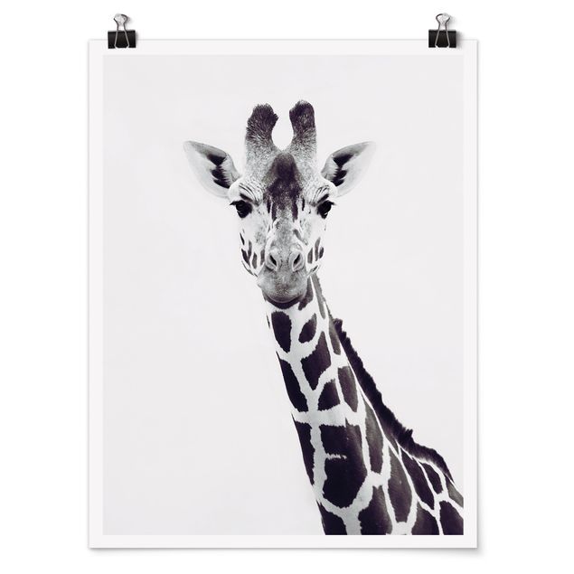 Schöne Wandbilder Giraffen Portrait in Schwarz-weiß