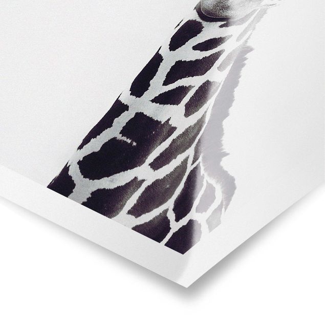 Poster - Giraffen Portrait in Schwarz-weiß - Hochformat 3:4