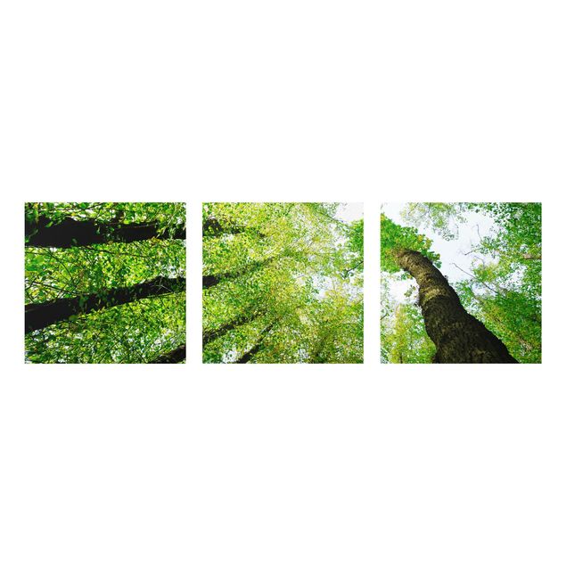 Glasbild Grün Bäume des Lebens