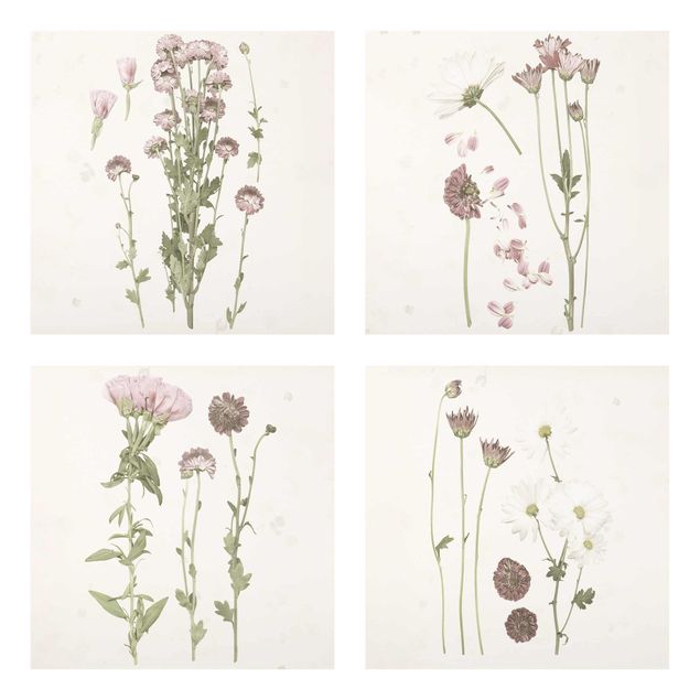 Schöne Wandbilder Herbarium in rosa Set I