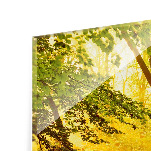 Glasbild mehrteilig - Herbstwald 3-teilig