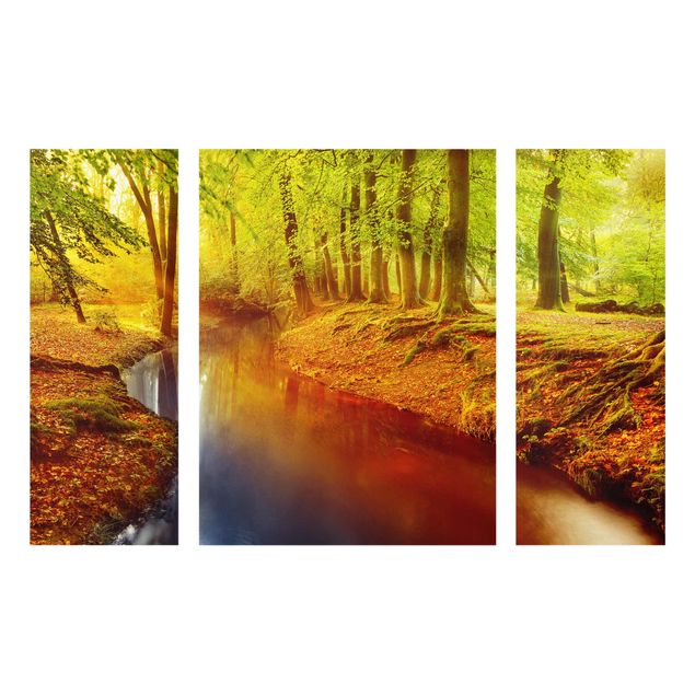Schöne Wandbilder Herbstwald