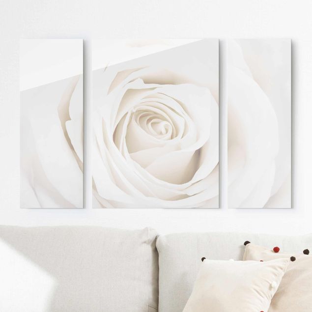 Glasbilder XXL Pretty White Rose