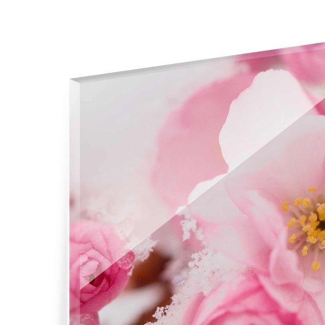 Glasbild mehrteilig - Schneebedeckte Kirschblüten - Collage 3-teilig