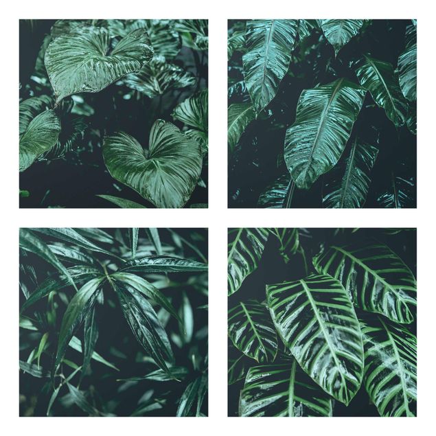 Glasbilder Grün Tropische Pflanzen