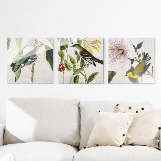 Wandbilder Tiere Vögel auf Leinen Set I