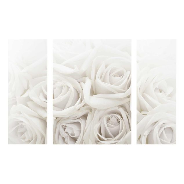 Glasbild Natur Weiße Rosen