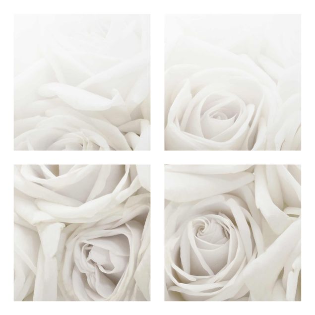 Glasbilder Blumen Weiße Rosen