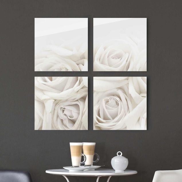 Bilder auf Glas Weiße Rosen