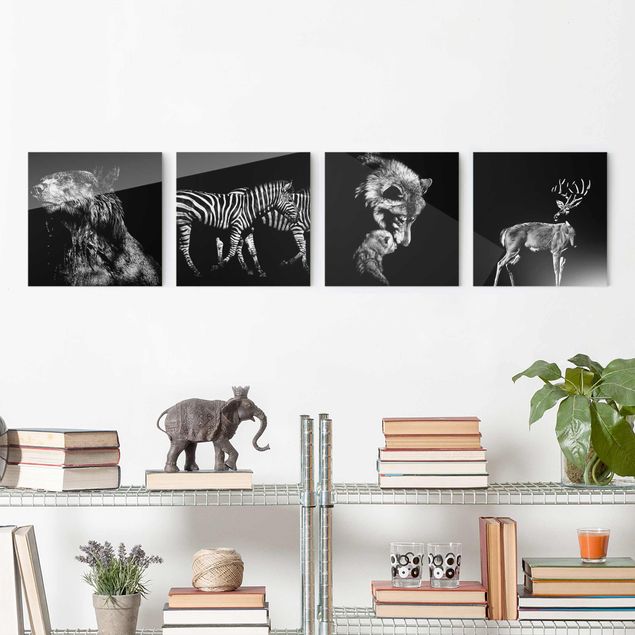 Wandbilder Tiere Wildtiere vor Schwarz Set I