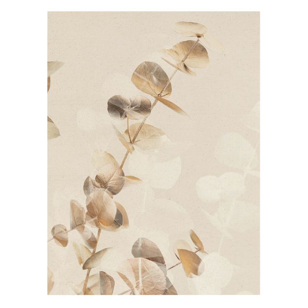 Leinwandbilder Goldene Eukalyptuszweige mit Weiß I