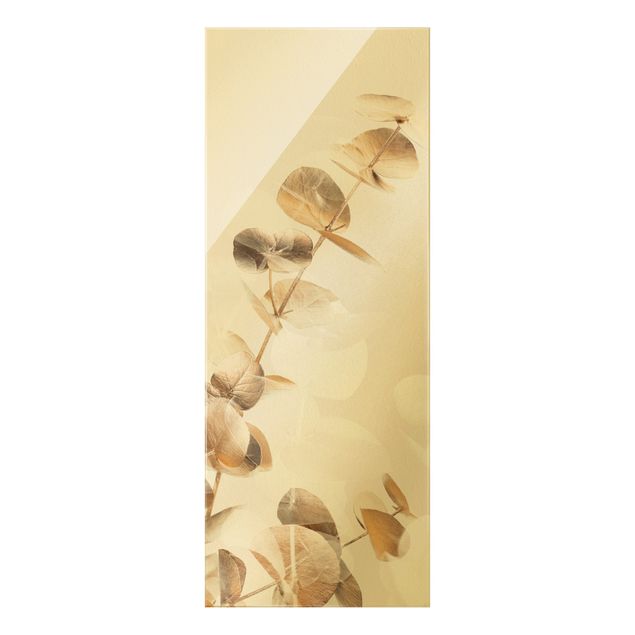 Bilder auf Glas Goldene Eukalyptuszweige mit Weiß I