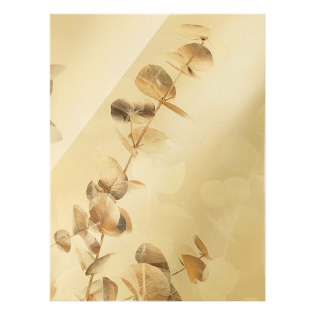 Glasbilder Goldene Eukalyptuszweige mit Weiß I