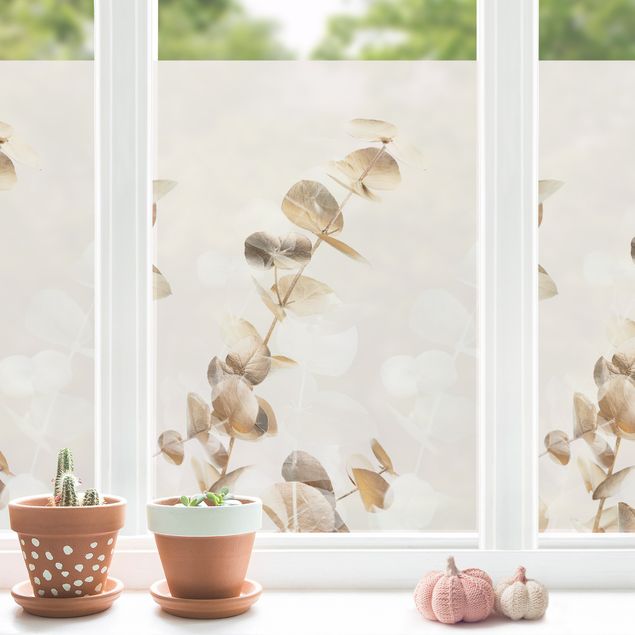 Blumen Fensterbilder Goldene Eukalyptuszweige mit Weiß I