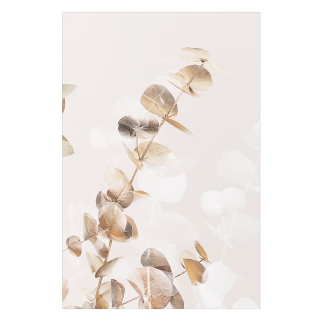 Fensterbilder XXL Goldene Eukalyptuszweige mit Weiß I