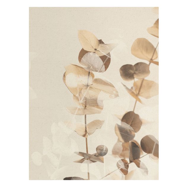 Bilder auf Leinwand Goldene Eukalyptuszweige mit Weiß II