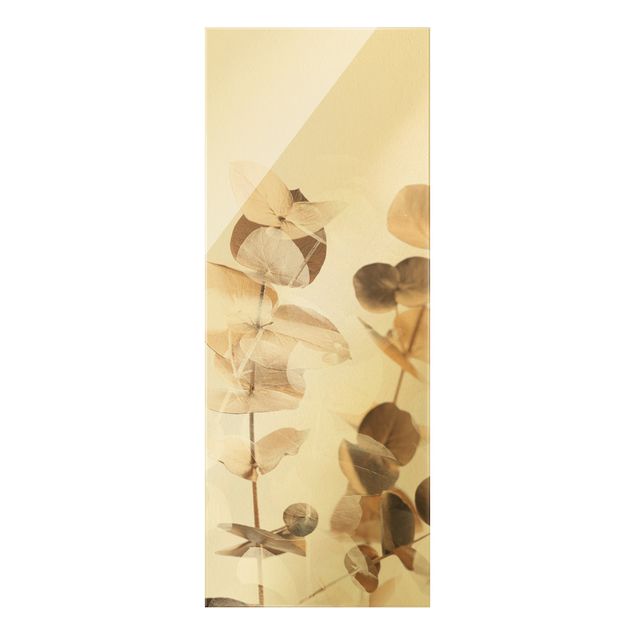 Bilder auf Glas Goldene Eukalyptuszweige mit Weiß II