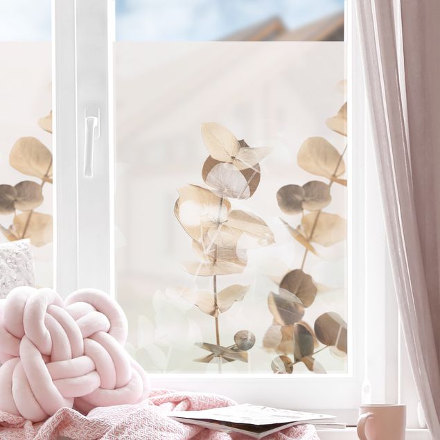 Fensterfolie Farbig Goldene Eukalyptuszweige mit Weiß II