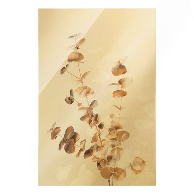 Glasbilder Goldene Eukalyptuszweige mit Weiß