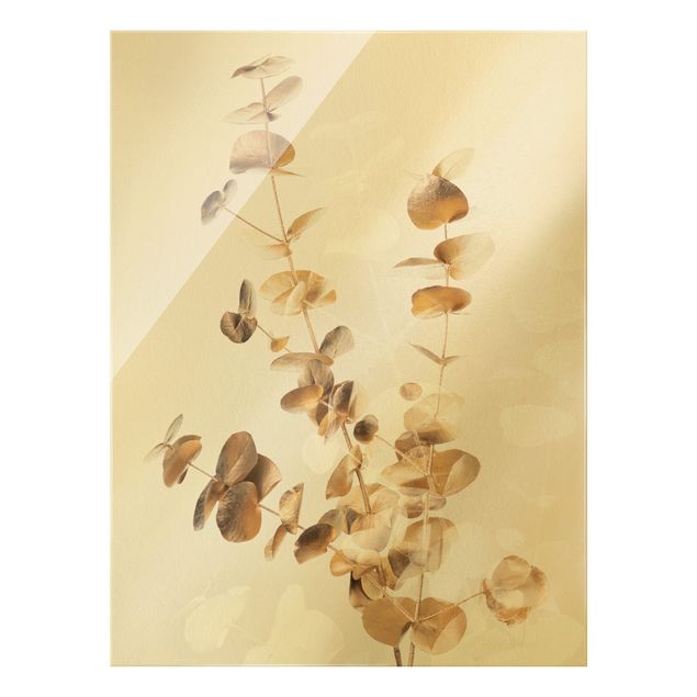 Glasbilder Goldene Eukalyptuszweige mit Weiß
