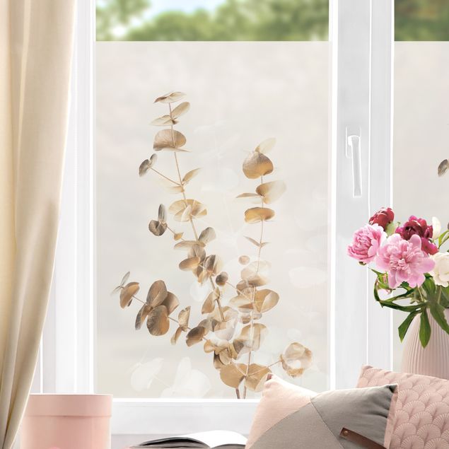 Blumen Fensterbilder Goldene Eukalyptuszweige mit Weiß