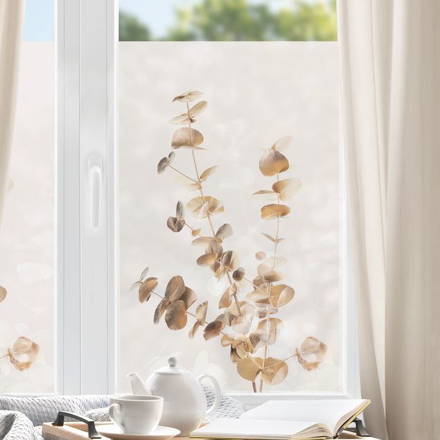Fensterfolie Farbig Goldene Eukalyptuszweige mit Weiß