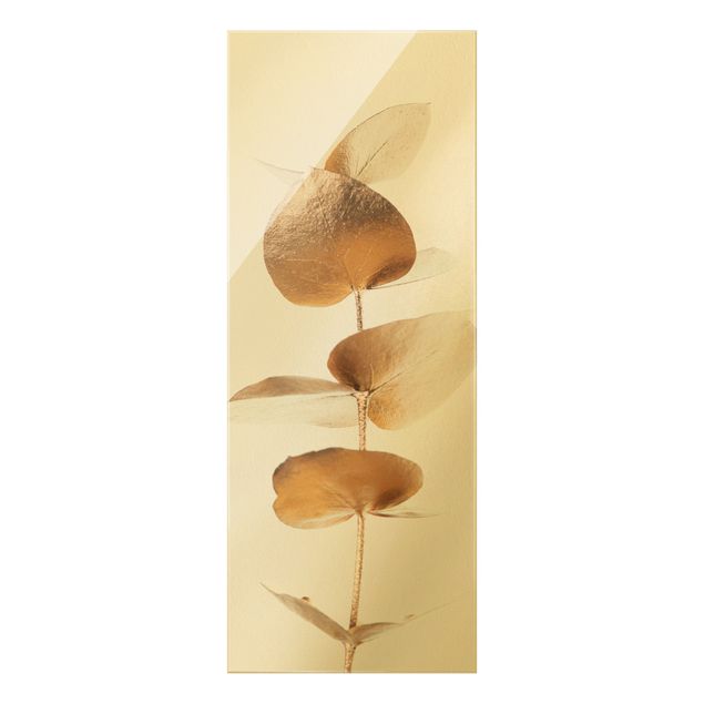 Bilder auf Glas Goldener Eukalyptuszweig