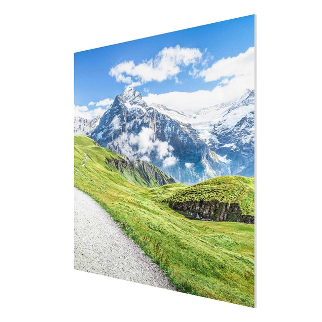 Forex Fine Art Print - Grindelwald Panorama - Quadrat 1:1