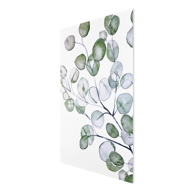 Forex Fine Art Print - Grünes Aquarell Eukalyptuszweig - Hochformat 2:3