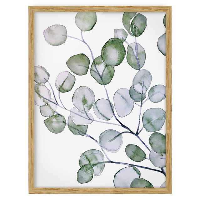 Wandbilder mit Rahmen Grünes Aquarell Eukalyptuszweig