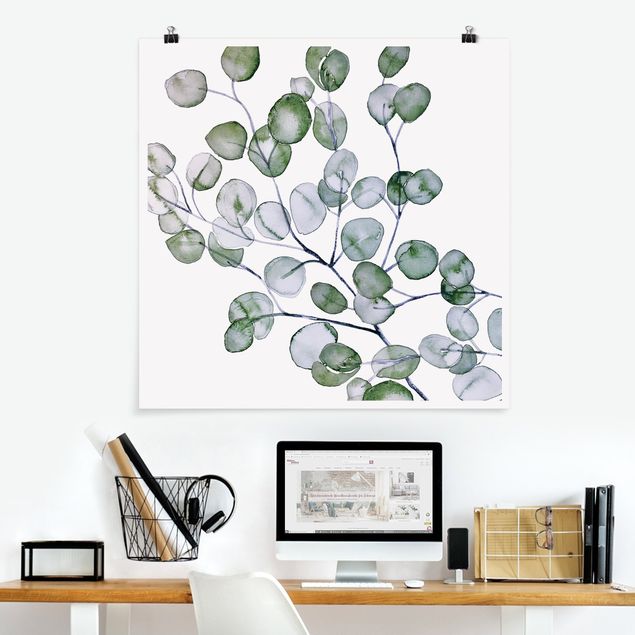 Kunstkopie Poster Grünes Aquarell Eukalyptuszweig
