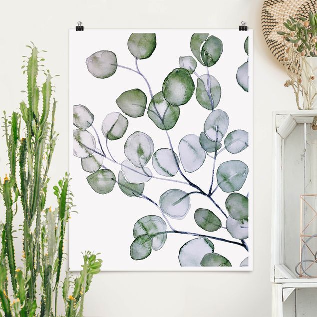 Kunstdrucke Poster Grünes Aquarell Eukalyptuszweig
