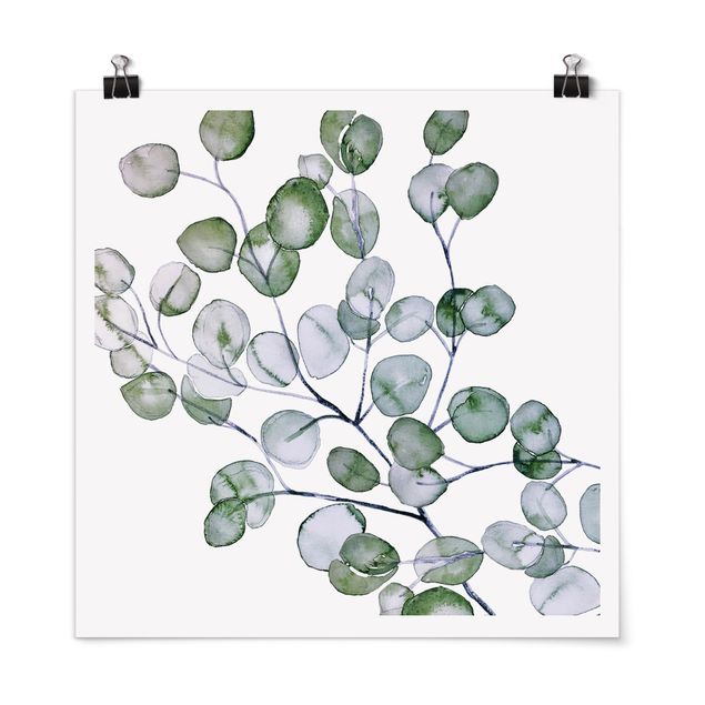 Bilder für die Wand Grünes Aquarell Eukalyptuszweig