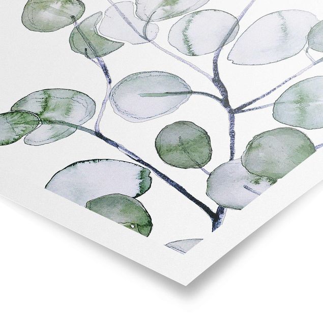 Poster Grünes Aquarell Eukalyptuszweig