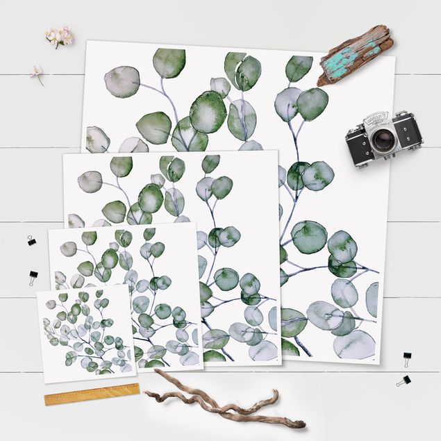 Poster - Grünes Aquarell Eukalyptuszweig - Quadrat 1:1