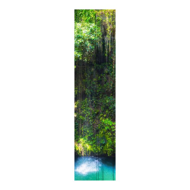 Schiebegardinen mit Motiv 3-teilig Hängende Wurzeln von Ik-Kil Cenote