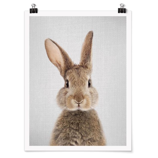 Tiere Poster Hase Hilbert