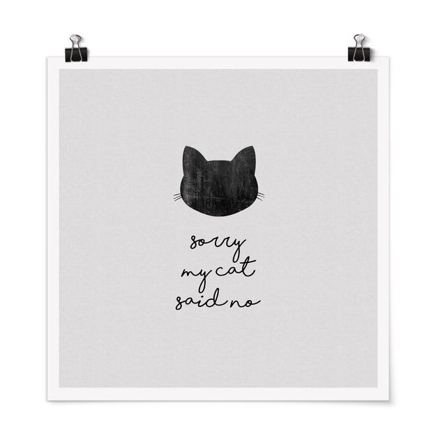 Poster Schwarz-Weiß Haustier Zitat Sorry My Cat Said No