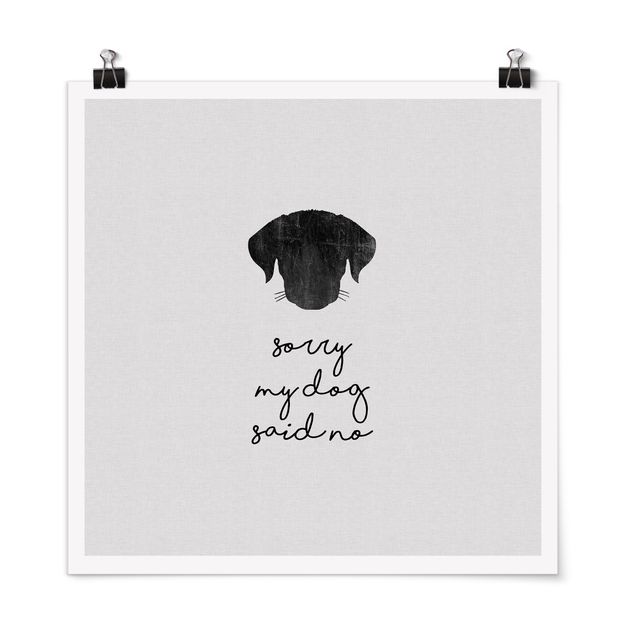 Schwarz-Weiß Poster Haustier Zitat Sorry My Dog Said No