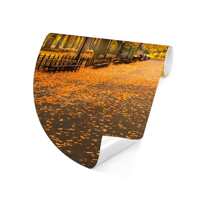 Design Tapete Herbst im Central Park