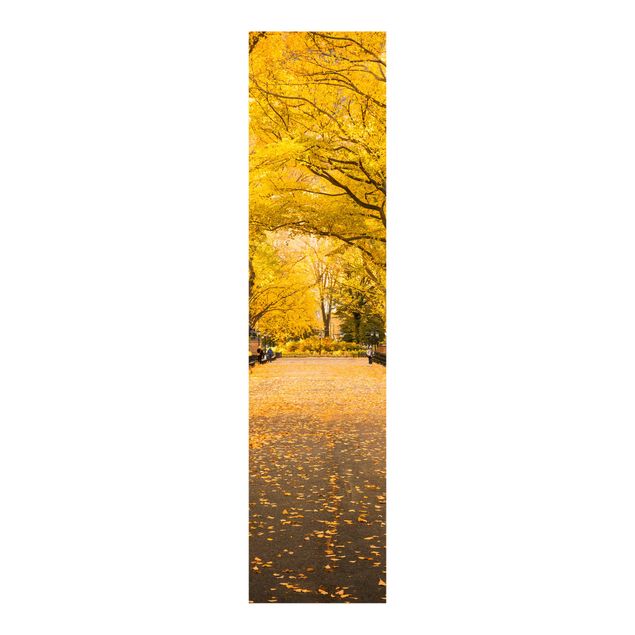 Schiebegardinen mit Motiv 3-teilig Herbst im Central Park