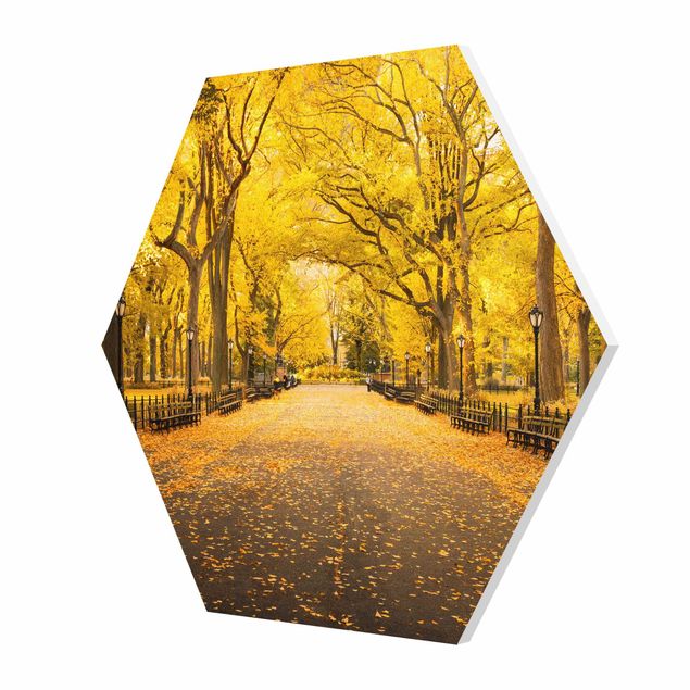 Hexagon Bild Forex - Herbst im Central Park