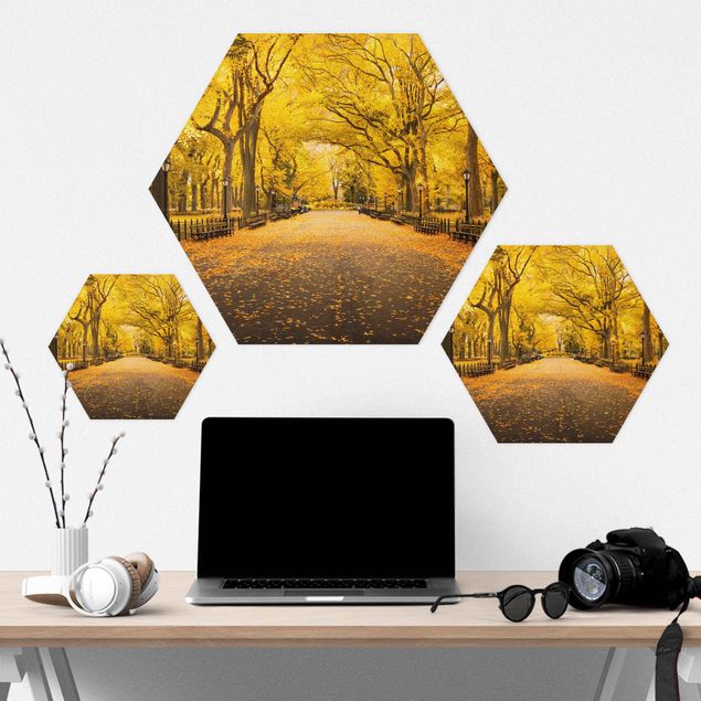 Hexagon Bild Forex - Herbst im Central Park