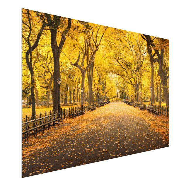 Foto auf Hartschaumplatte Herbst im Central Park
