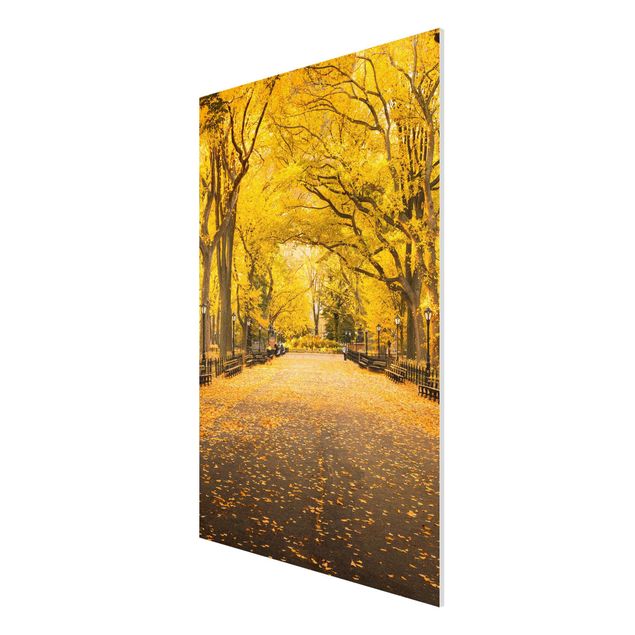 Forex Fine Art Print - Herbst im Central Park - Hochformat 2:3
