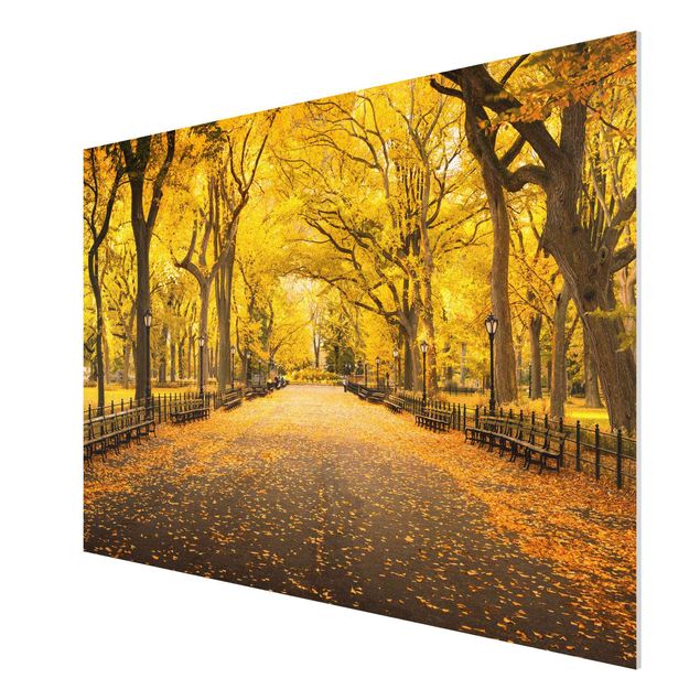 Forex Fine Art Print - Herbst im Central Park - Querformat 3:2